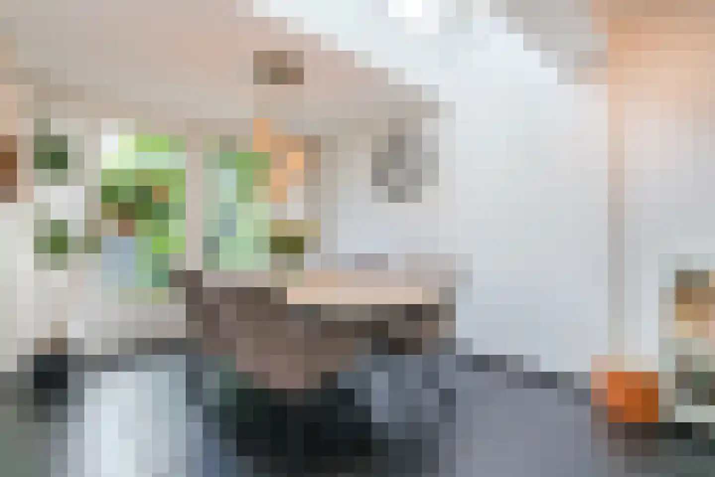 Kolkland 8 Nieuwleusen thumbnail 15