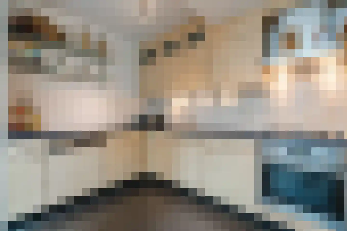 Kolkland 8 Nieuwleusen thumbnail 16