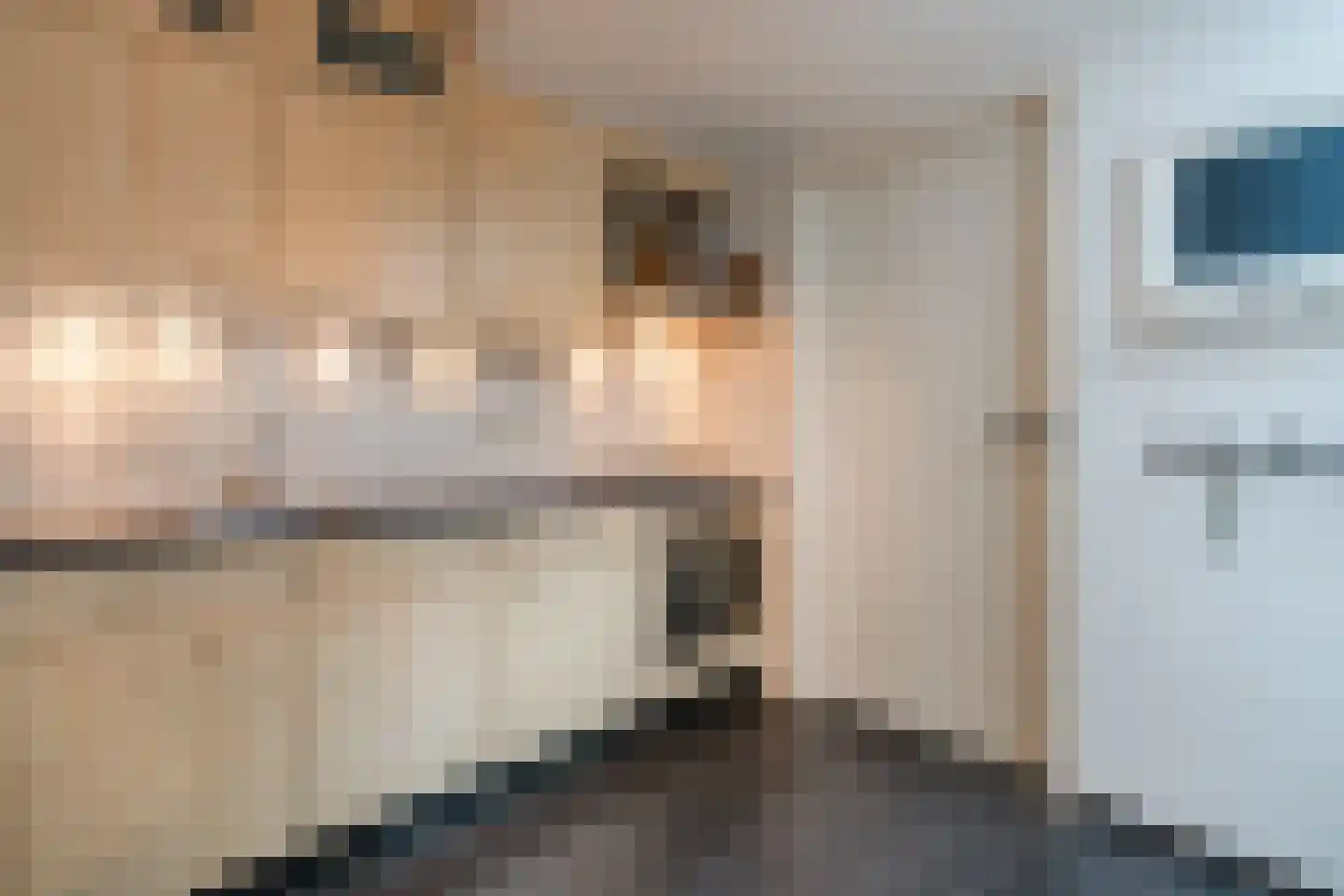 Kolkland 8 Nieuwleusen thumbnail 17