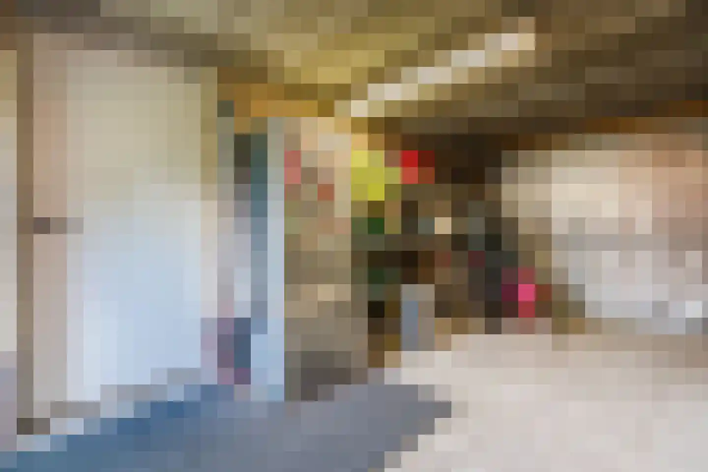 Kolkland 8 Nieuwleusen thumbnail 21