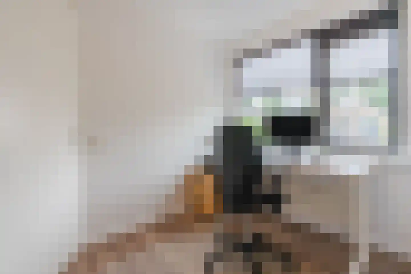 Kolkland 8 Nieuwleusen thumbnail 34