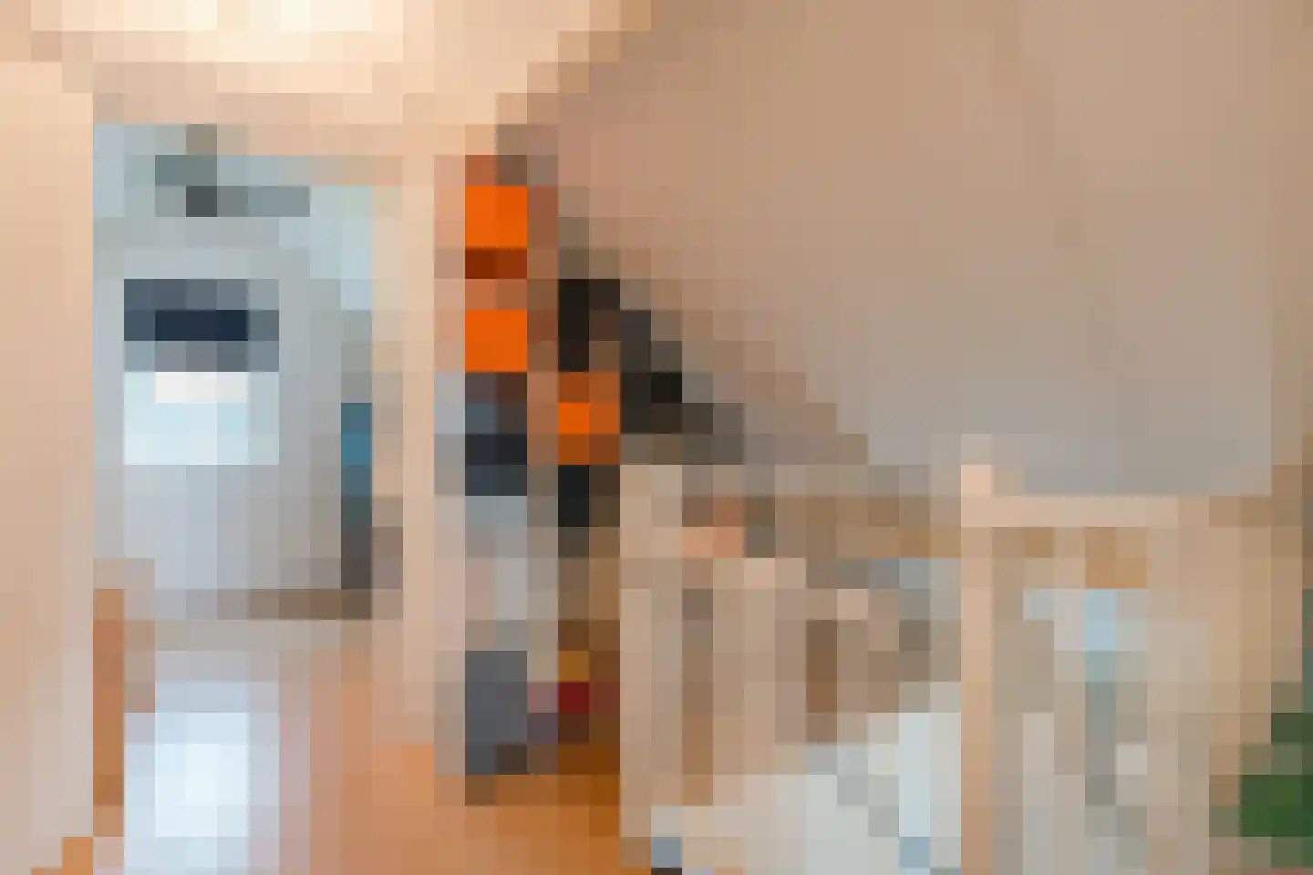 Kolkland 8 Nieuwleusen thumbnail 37