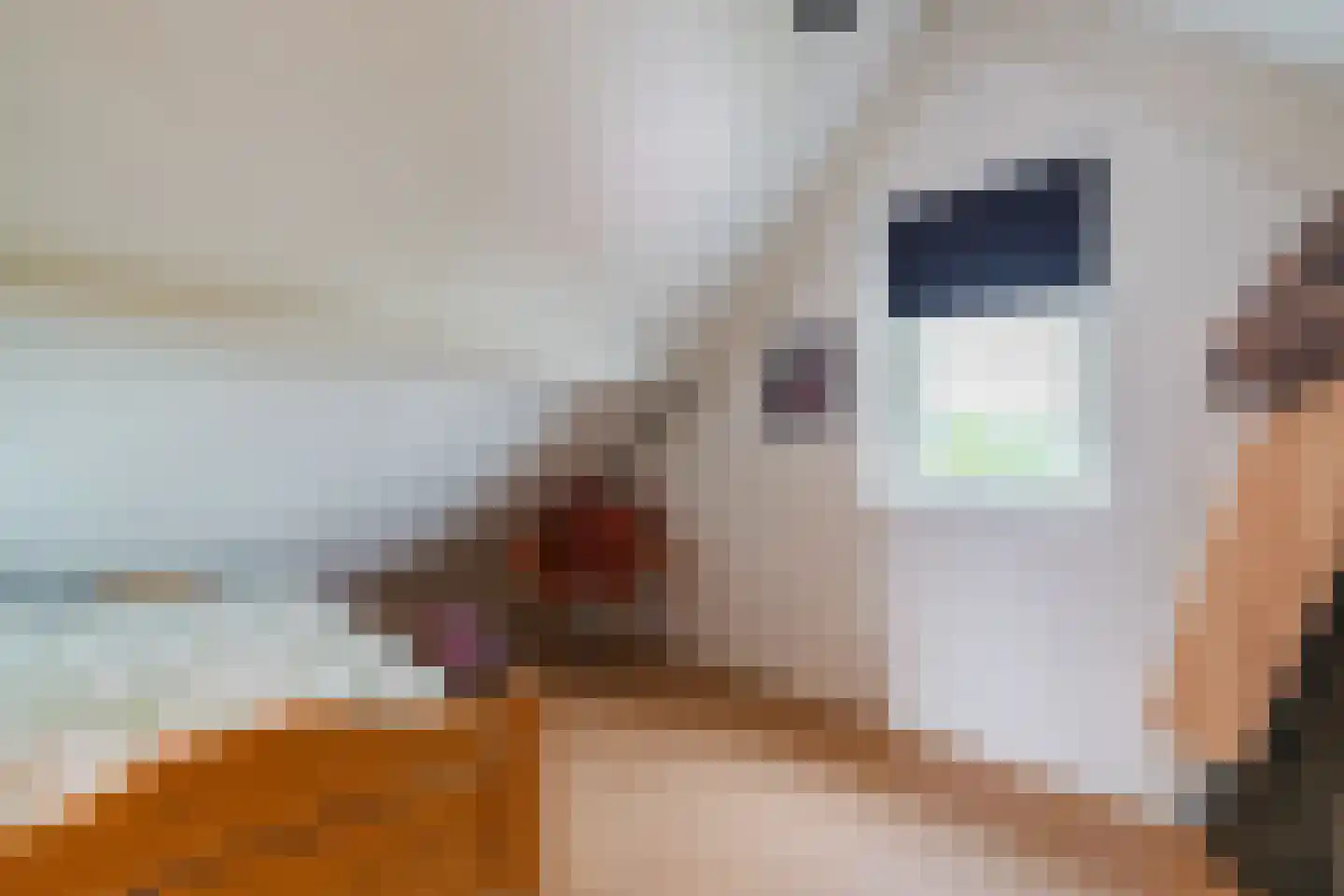 Kolkland 8 Nieuwleusen thumbnail 38