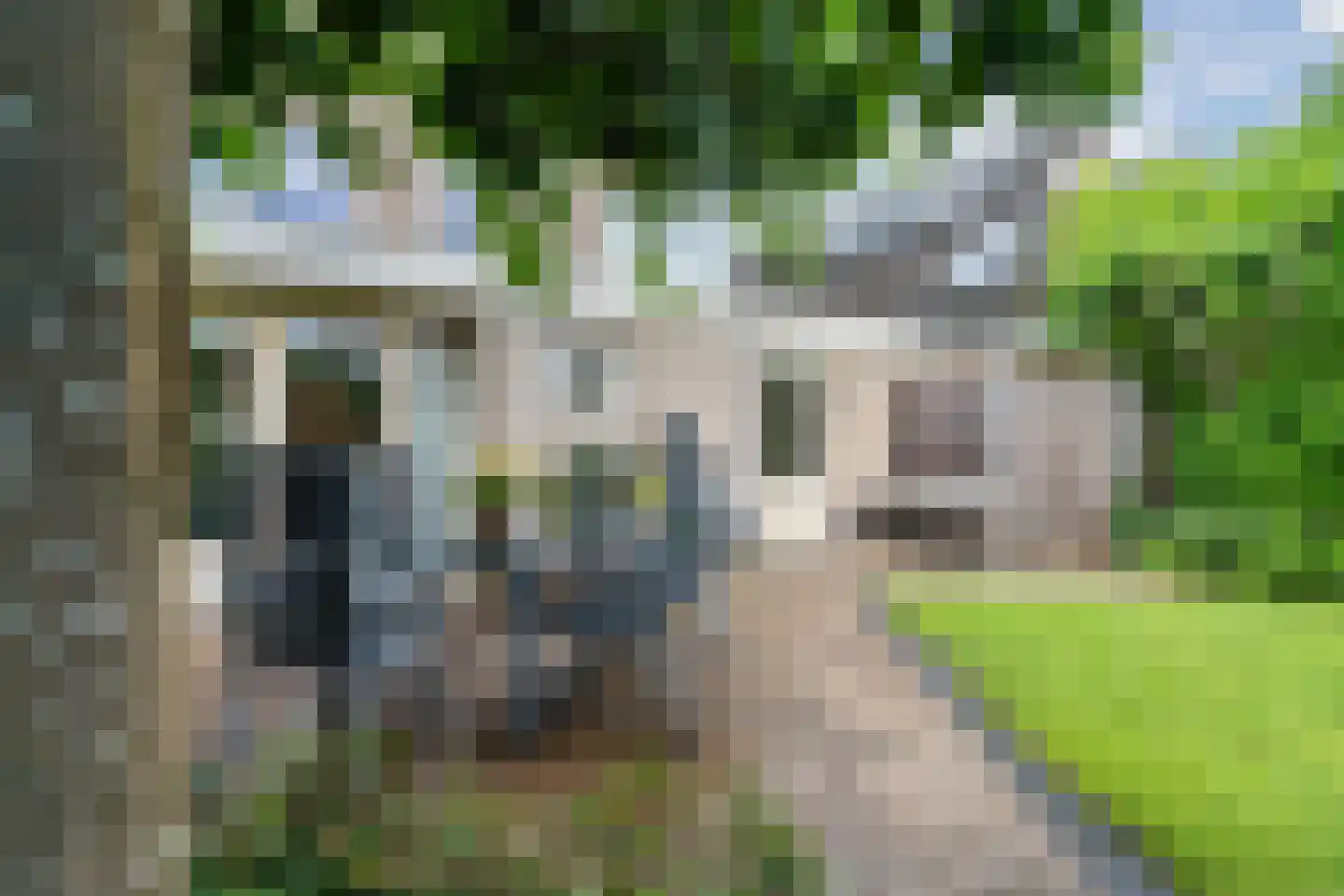 Kolkland 8 Nieuwleusen thumbnail 44