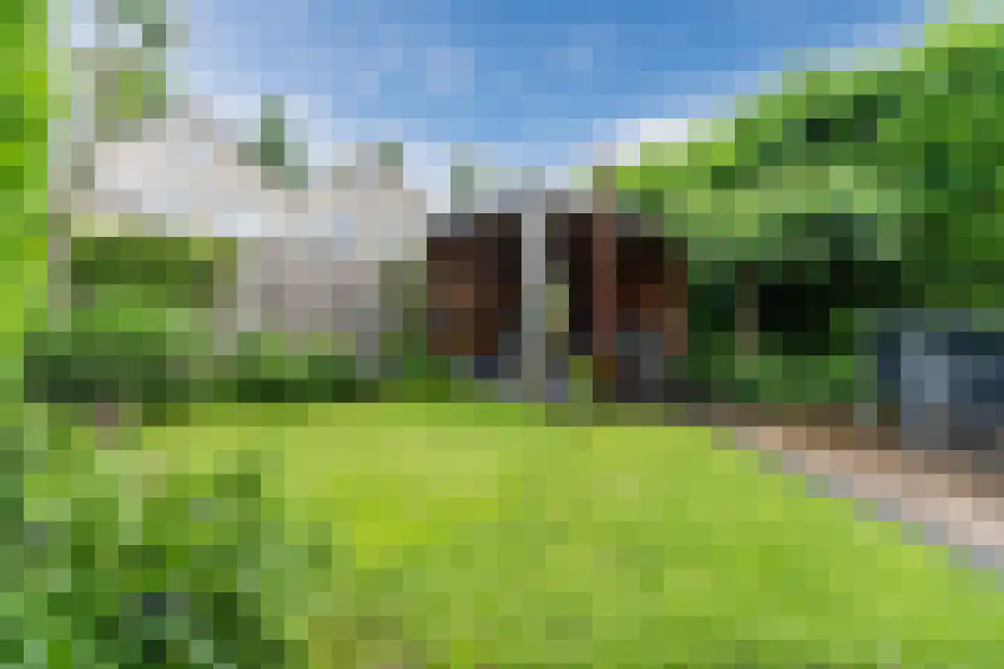 Kolkland 8 Nieuwleusen thumbnail 45