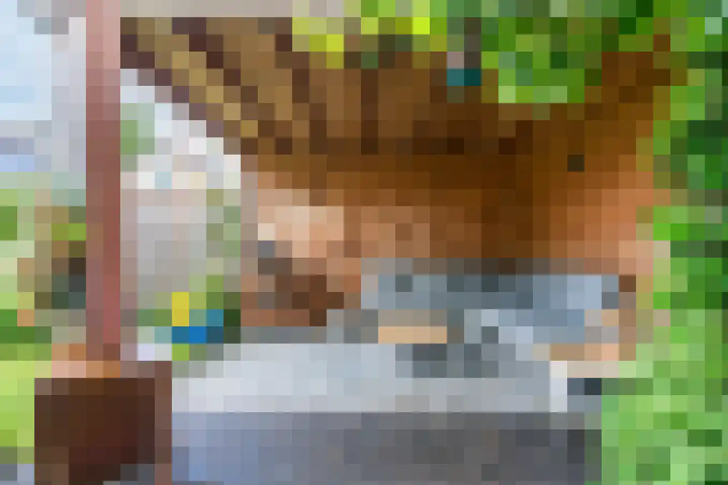 Kolkland 8 Nieuwleusen thumbnail 46