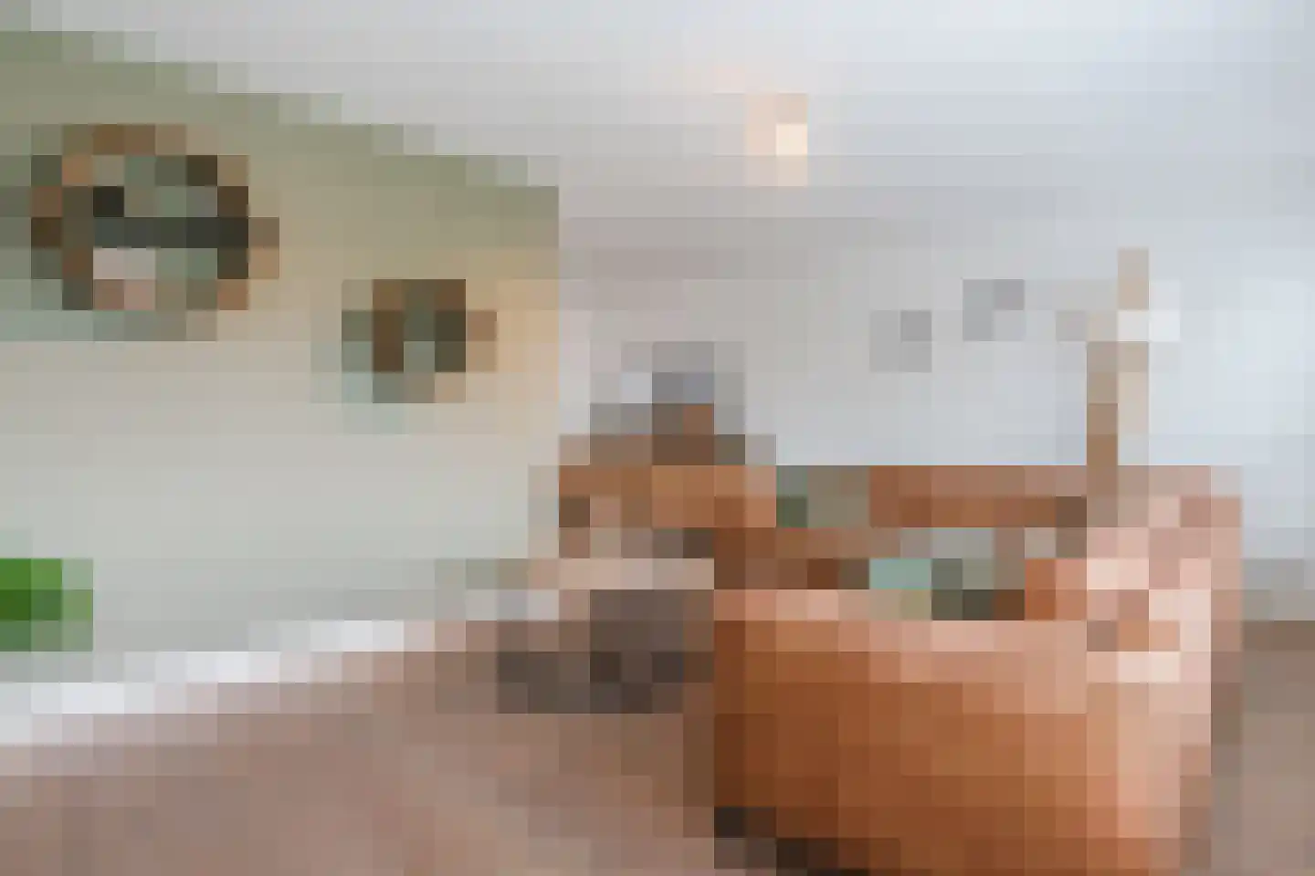 Kolkland 8 Nieuwleusen thumbnail 9