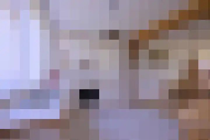 Kolkmansweg 12 Schalkhaar thumbnail 10