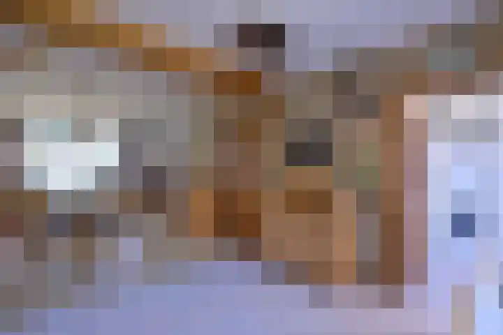 Kolkmansweg 12 Schalkhaar thumbnail 11
