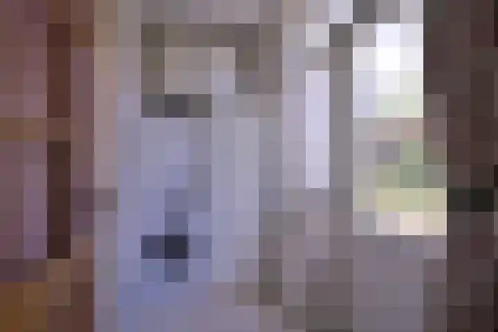 Kolkmansweg 12 Schalkhaar thumbnail 12