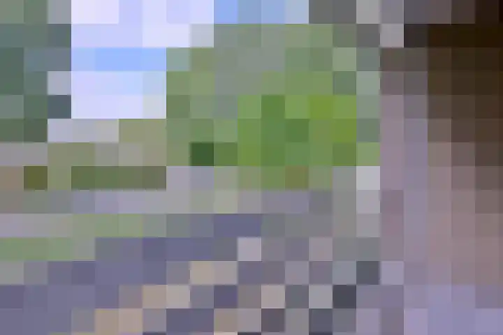 Kolkmansweg 12 Schalkhaar thumbnail 17