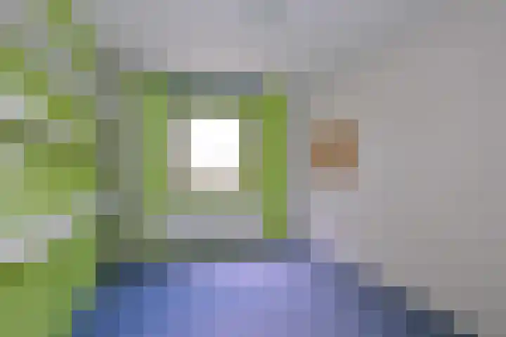 Kolkmansweg 12 Schalkhaar thumbnail 23