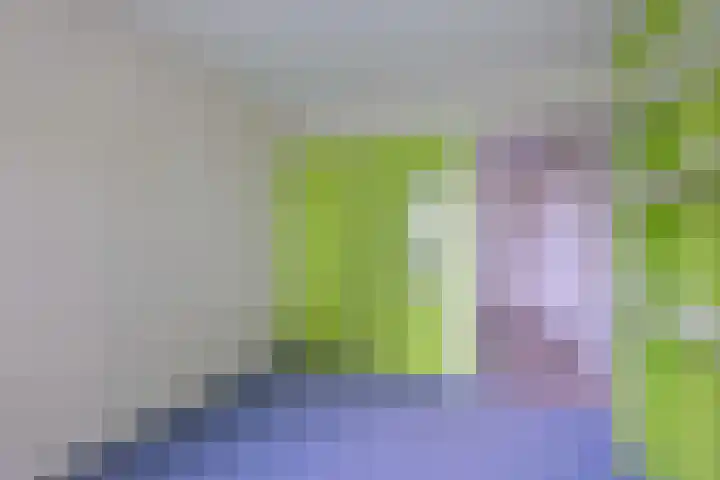 Kolkmansweg 12 Schalkhaar thumbnail 24