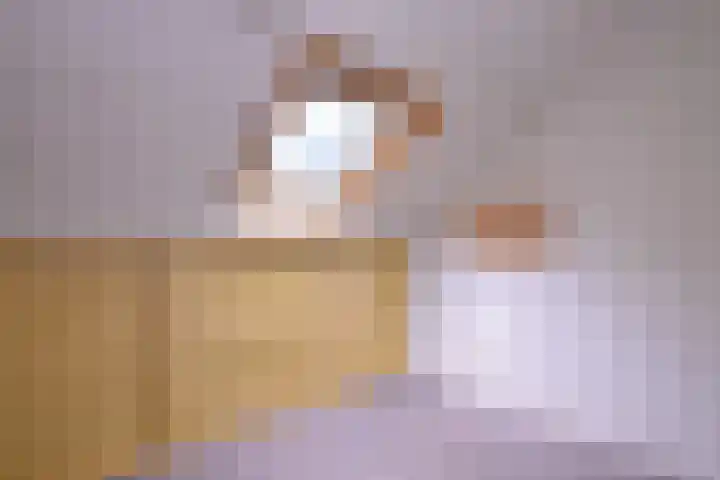 Kolkmansweg 12 Schalkhaar thumbnail 30