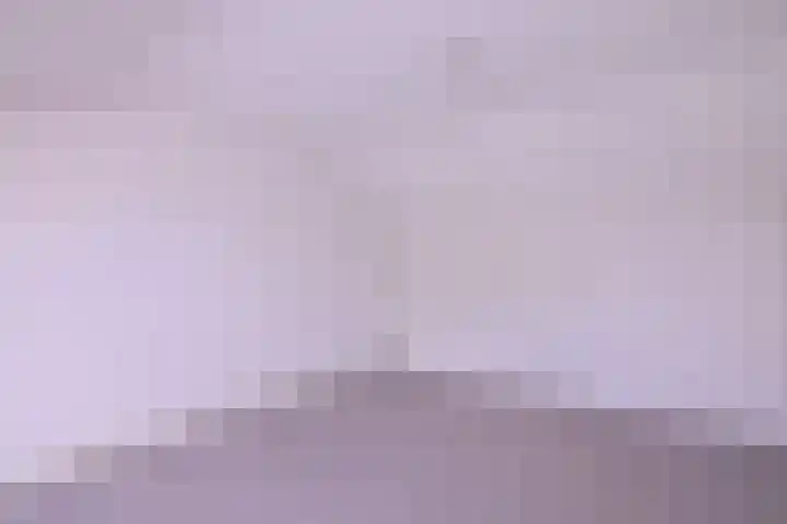 Kolkmansweg 12 Schalkhaar thumbnail 33