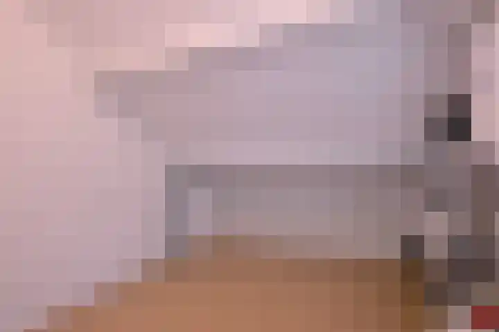 Kolkmansweg 12 Schalkhaar thumbnail 35