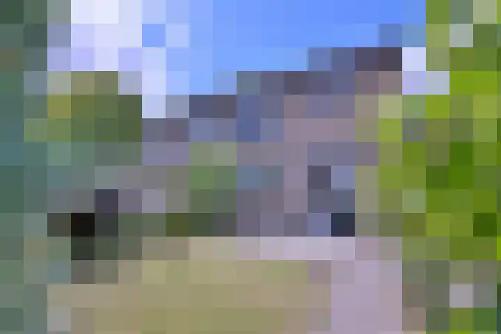 Kolkmansweg 12 Schalkhaar thumbnail 37