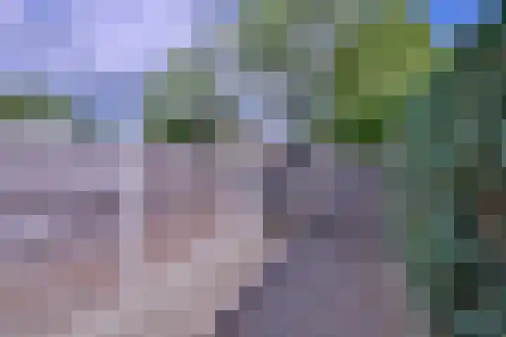 Kolkmansweg 12 Schalkhaar thumbnail 43