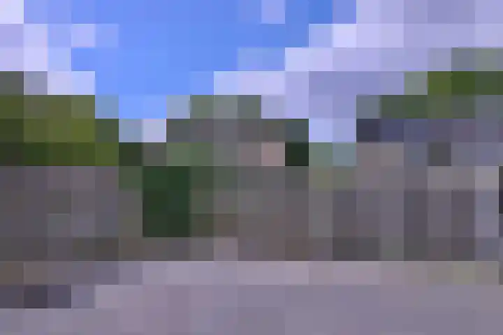 Kolkmansweg 12 Schalkhaar thumbnail 44