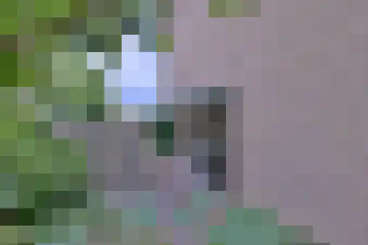Kolkmansweg 12 Schalkhaar thumbnail 45