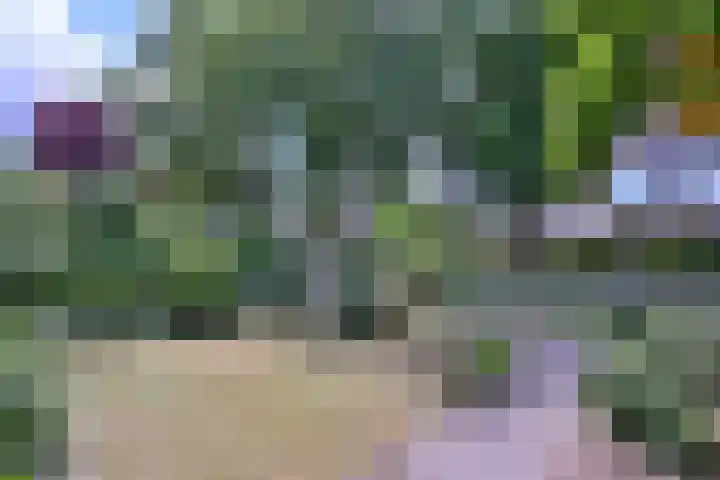 Kolkmansweg 12 Schalkhaar thumbnail 46