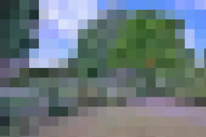 Kolkmansweg 12 Schalkhaar thumbnail 47
