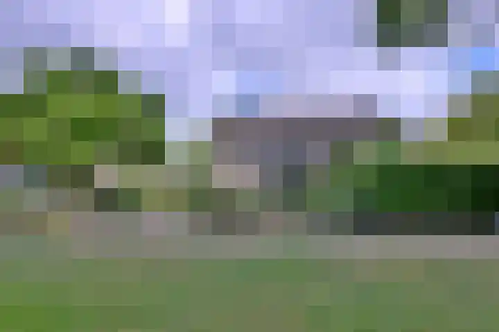 Kolkmansweg 12 Schalkhaar thumbnail 48