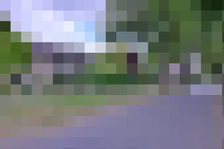 Kolkmansweg 12 Schalkhaar thumbnail 49