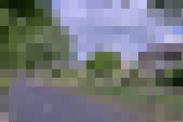 Kolkmansweg 12 Schalkhaar thumbnail 50