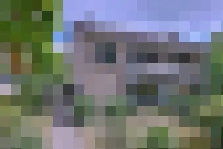 Kolkmansweg 12 Schalkhaar thumbnail 56