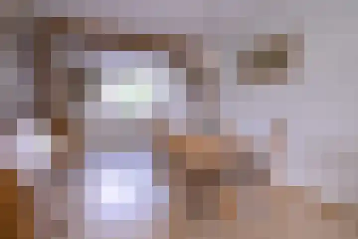 Kolkmansweg 12 Schalkhaar thumbnail 8