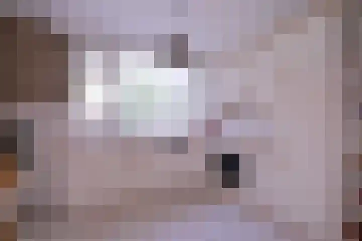 Kolkmansweg 12 Schalkhaar thumbnail 9