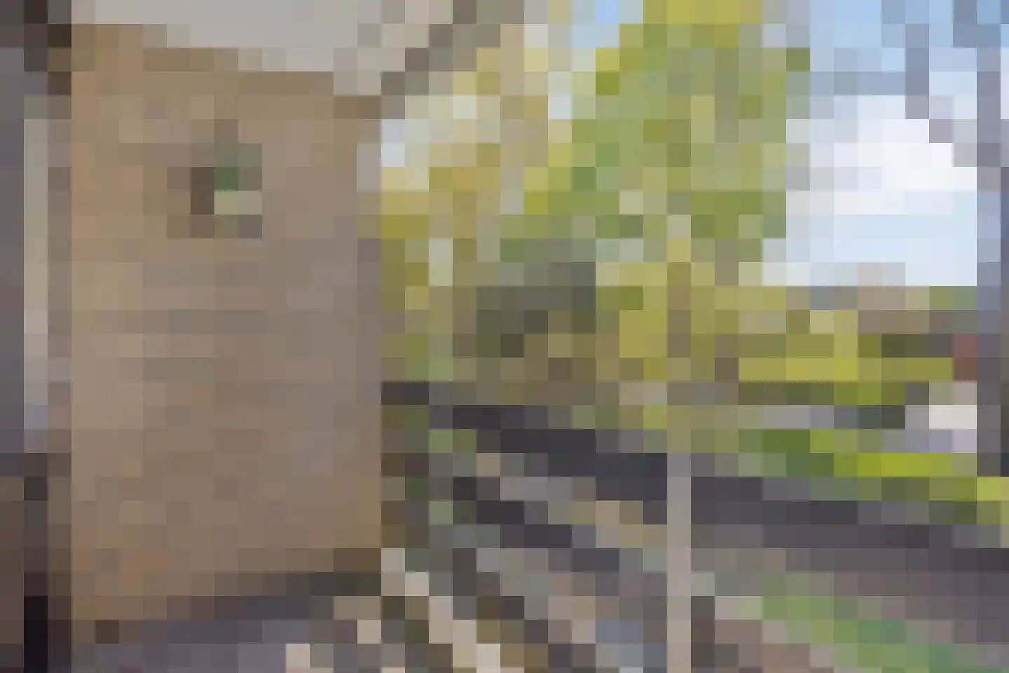 Kolkmansweg 24 Schalkhaar thumbnail 23