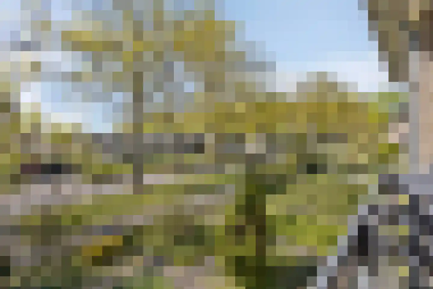 Kolkmansweg 24 Schalkhaar thumbnail 24
