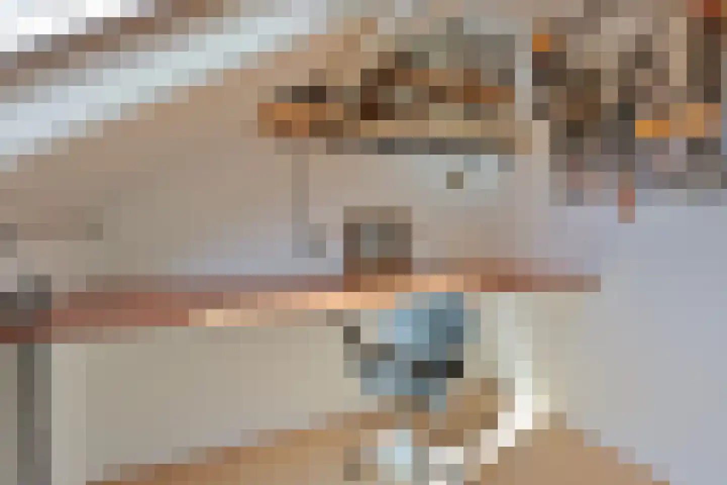 Kolkmansweg 24 Schalkhaar thumbnail 32