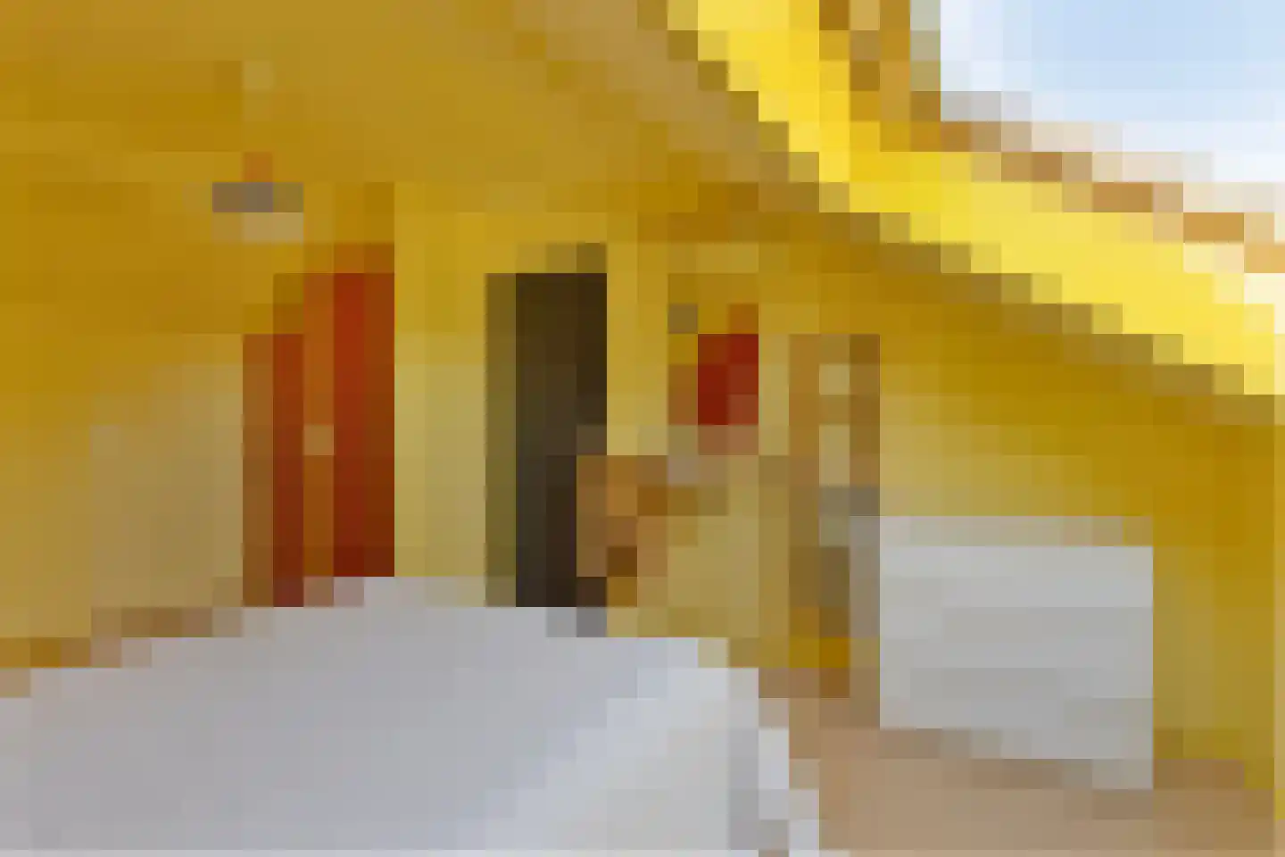 Kolkmansweg 24 Schalkhaar thumbnail 35