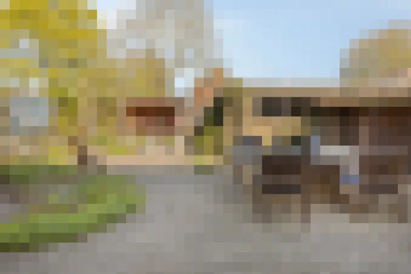 Kolkmansweg 24 Schalkhaar thumbnail 38