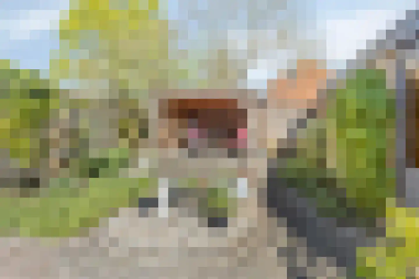 Kolkmansweg 24 Schalkhaar thumbnail 39