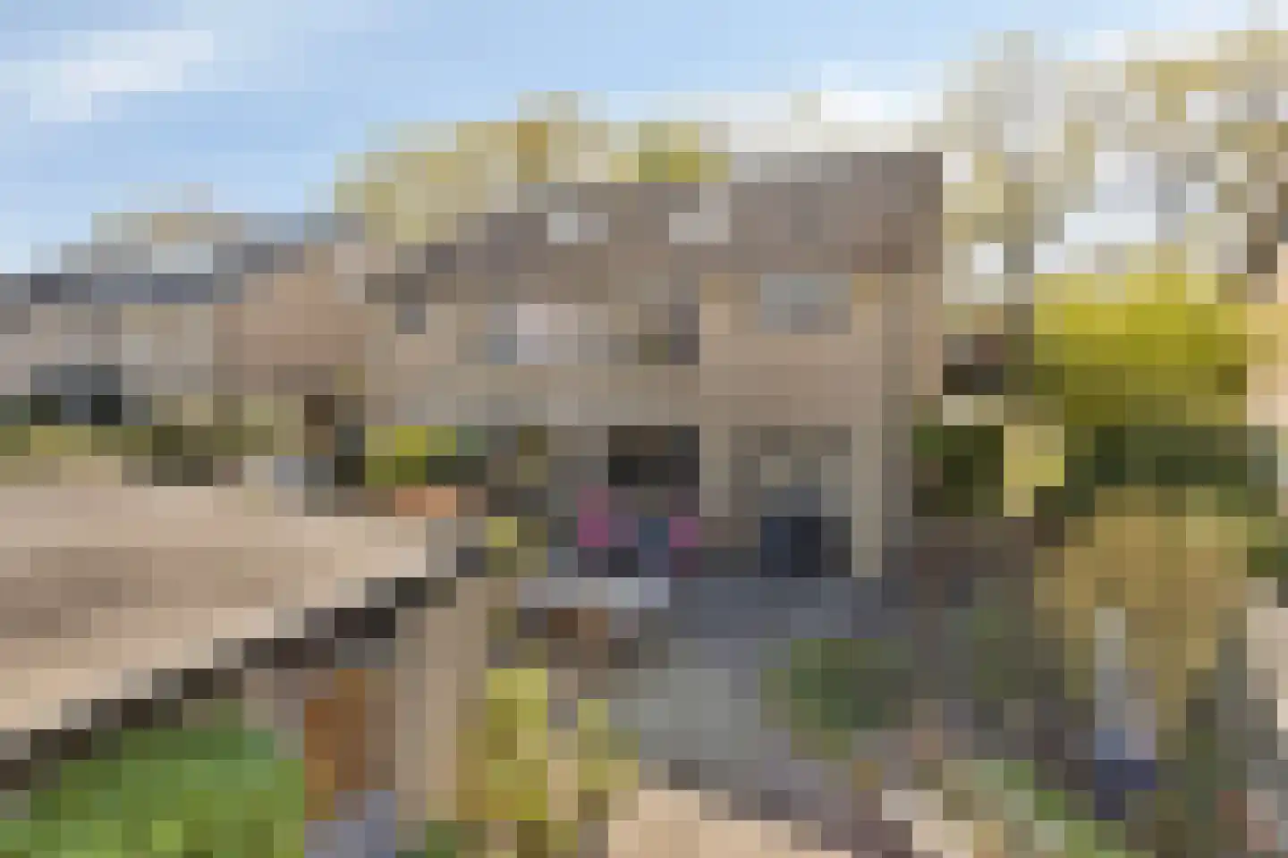 Kolkmansweg 24 Schalkhaar thumbnail 41