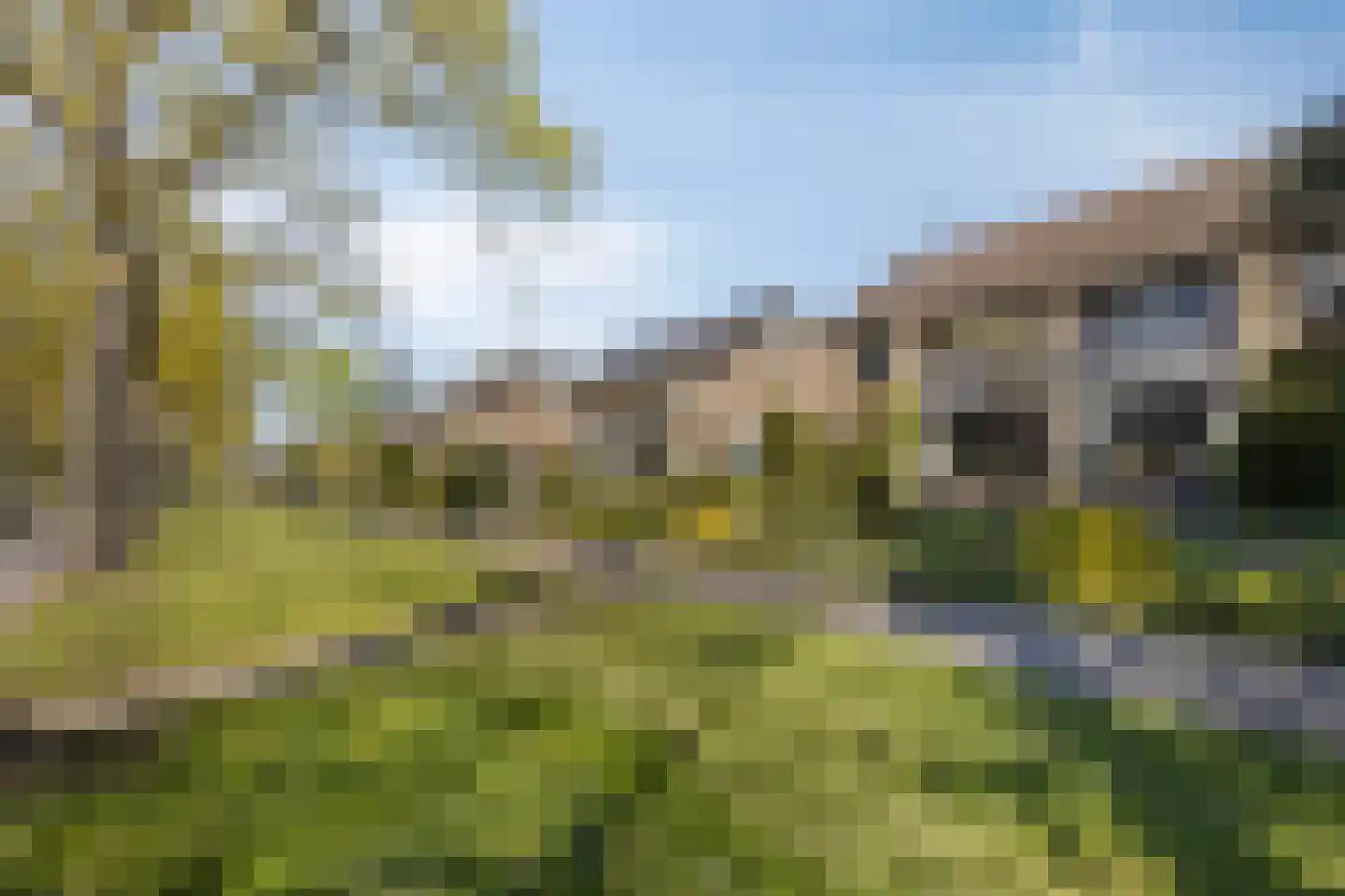 Kolkmansweg 24 Schalkhaar thumbnail 43