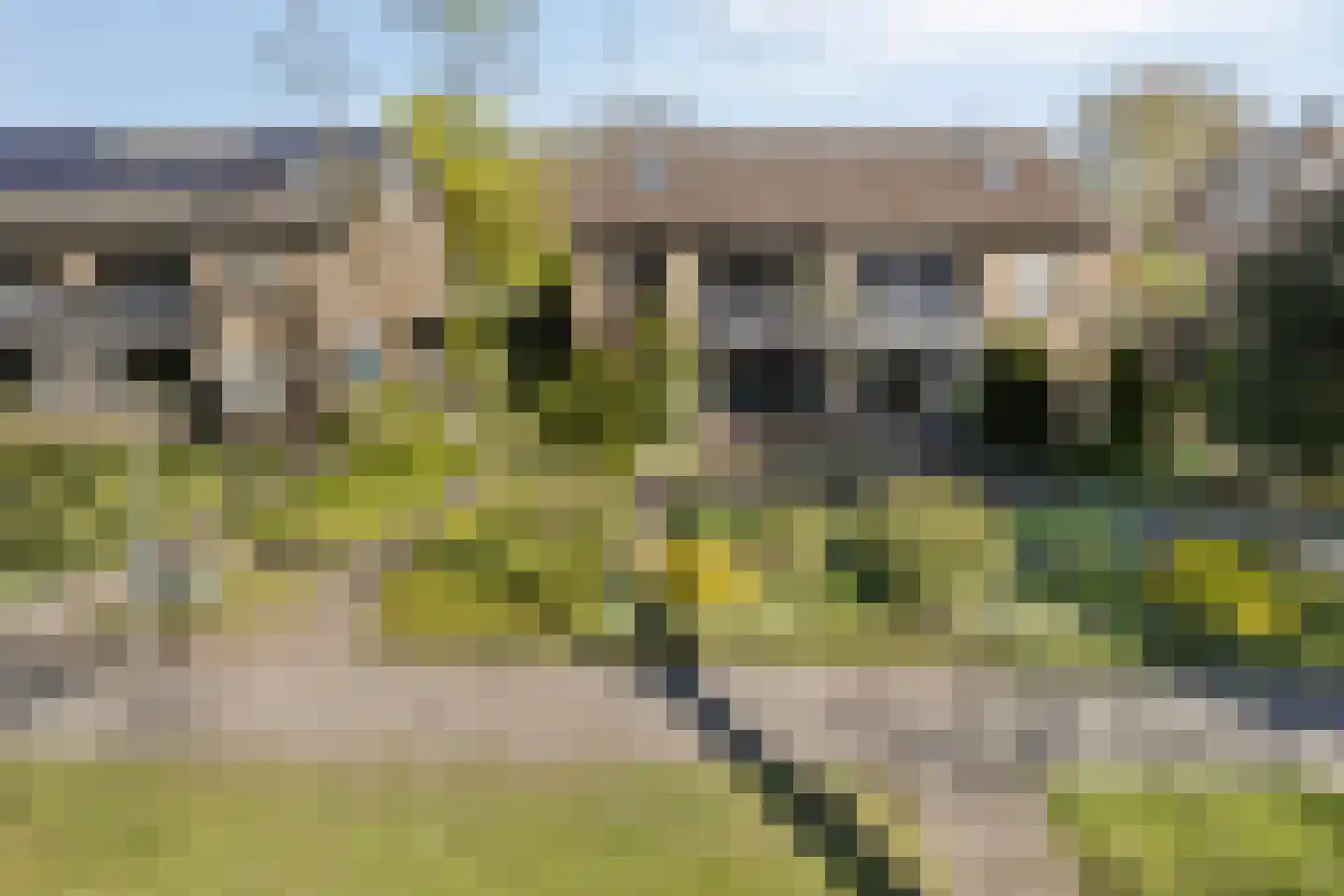 Kolkmansweg 24 Schalkhaar thumbnail 44