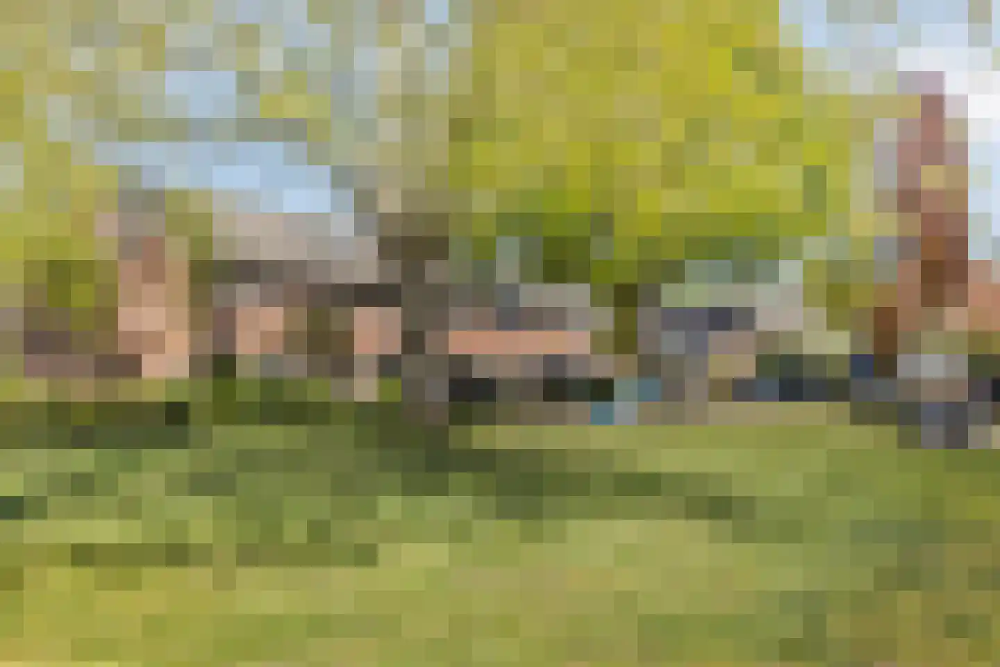 Kolkmansweg 24 Schalkhaar thumbnail 45