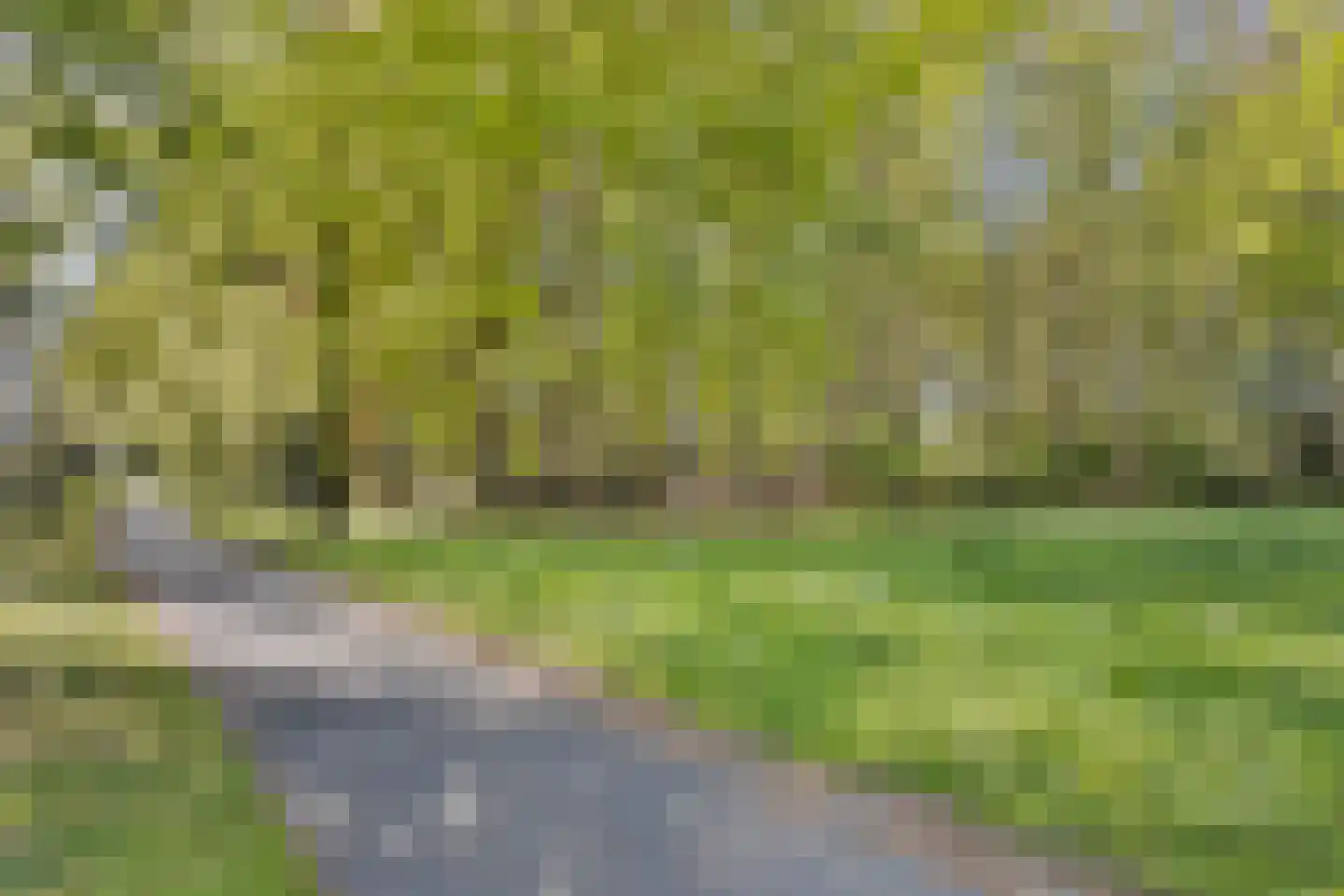 Kolkmansweg 24 Schalkhaar thumbnail 47