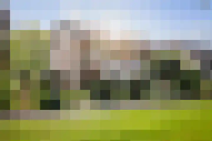 Kolkmansweg 28 in Schalkhaar