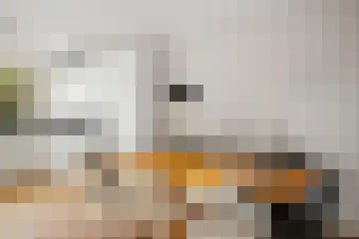 Kolkmansweg 28 Schalkhaar thumbnail 10