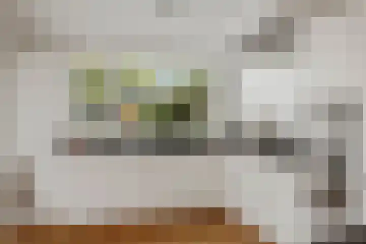 Kolkmansweg 28 Schalkhaar thumbnail 11
