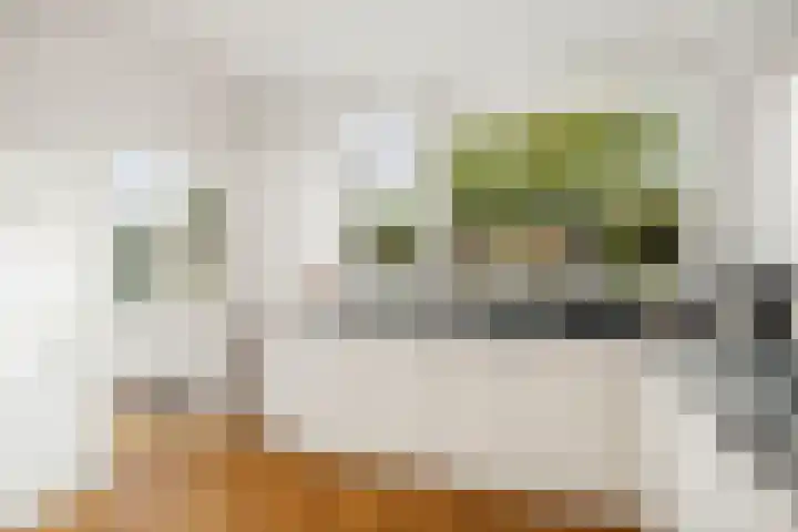 Kolkmansweg 28 Schalkhaar thumbnail 12