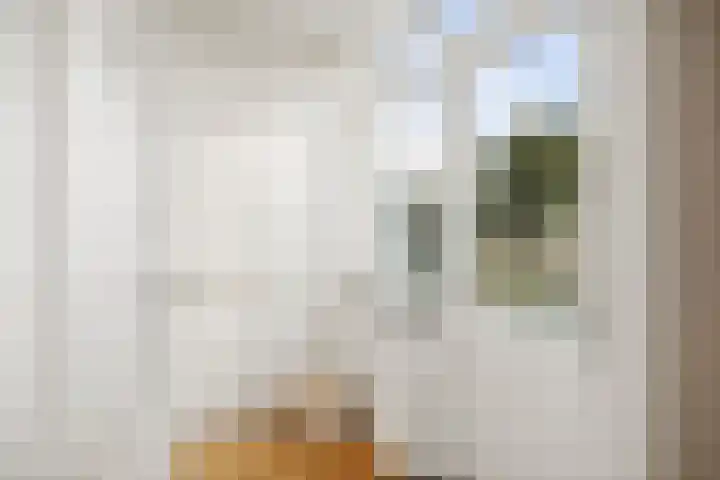 Kolkmansweg 28 Schalkhaar thumbnail 14