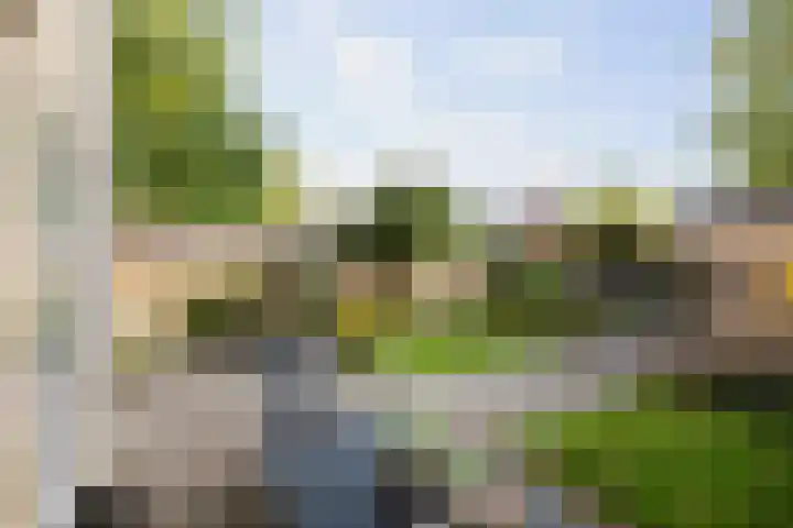 Kolkmansweg 28 Schalkhaar thumbnail 16