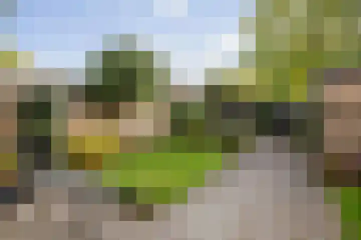 Kolkmansweg 28 Schalkhaar thumbnail 17